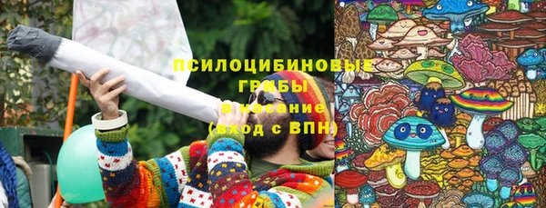 эйфоретик Баксан
