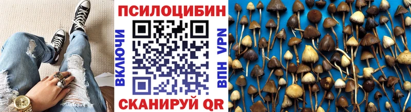 Псилоцибиновые грибы прущие грибы  Баксан 