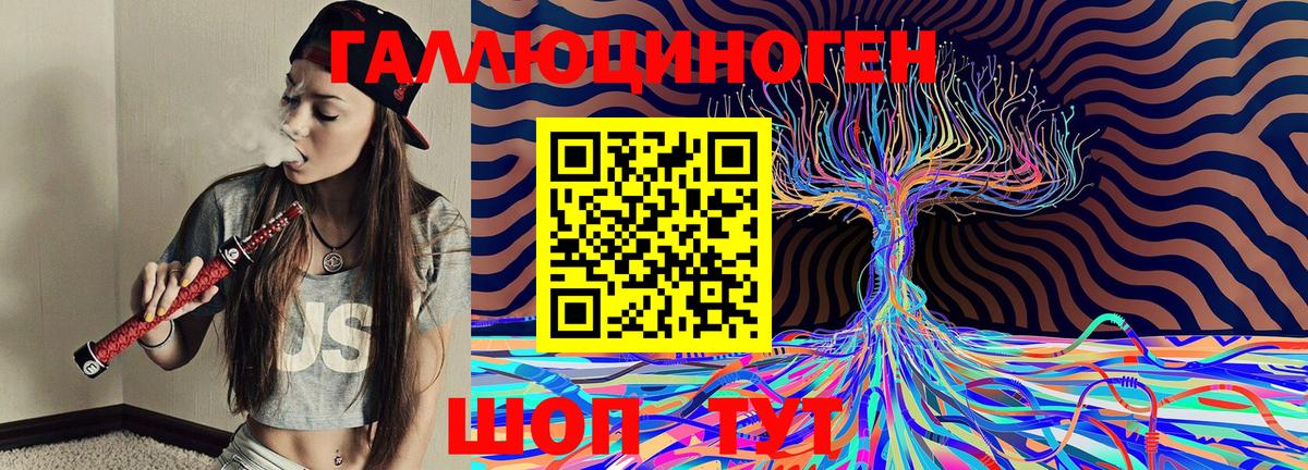 Баксан  Галлюциногенные грибы Cubensis  Вход с VPN  Псилоцибиновые грибы Cubensis 