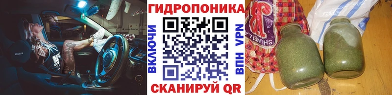 Шишки марихуана семена  Баксан 